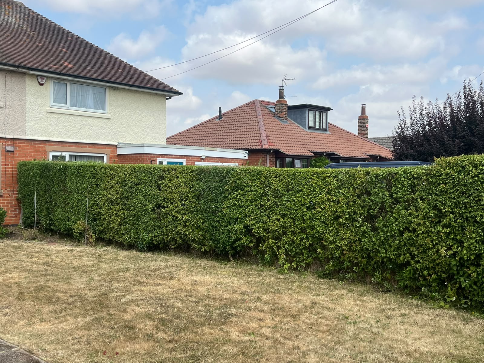 Hedge trimming